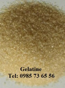 bán Gelatin, bán gelatine, bán gielatin, bán C102H151O39N31